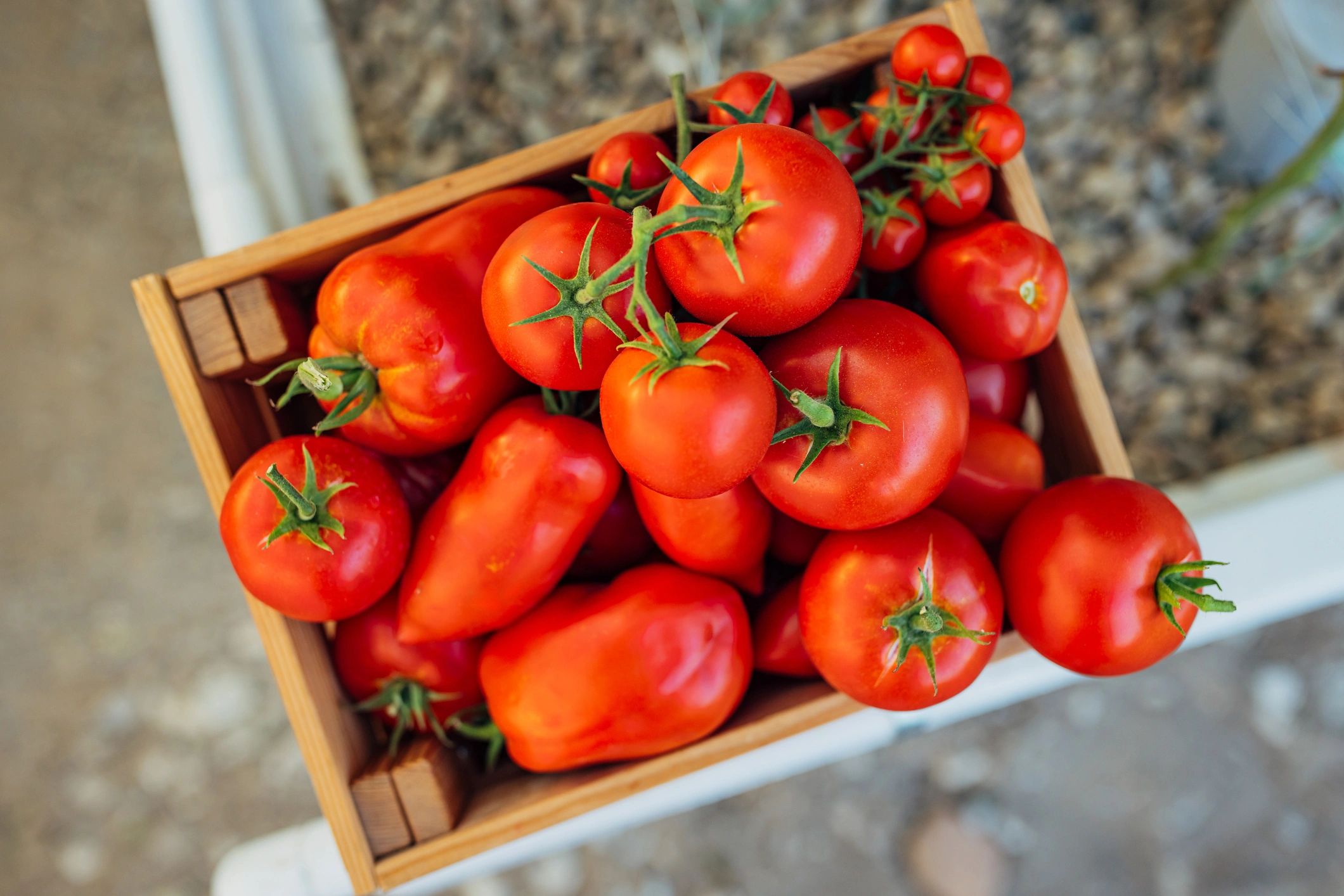 Fresh produce in a wooden crate in a greenhouse